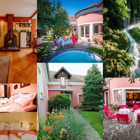 Villa Holiday Home Kuca Za Odmor Slavonka Kaptol Exterior foto